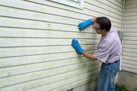 Affordable Siding Repair and Maintenance Services in Garnet, CA